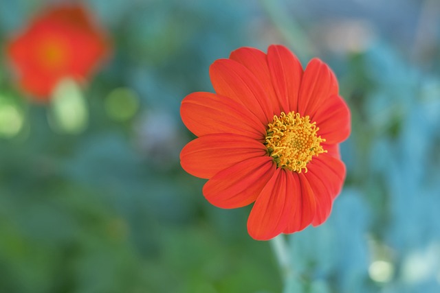 良好的成效 良好的成效