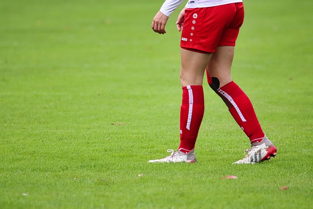 成因与趋势 成因与趋势