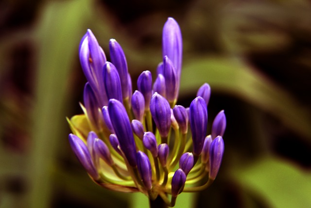 再遇海港 再遇海港