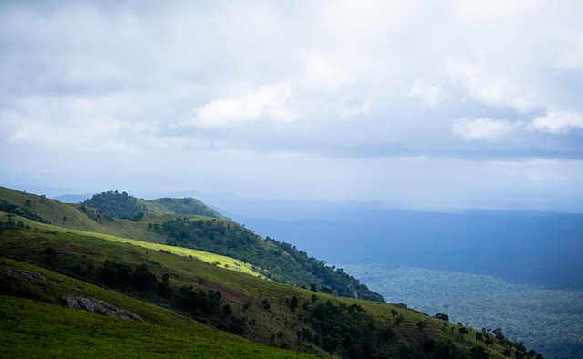 人民的热情 人民的热情