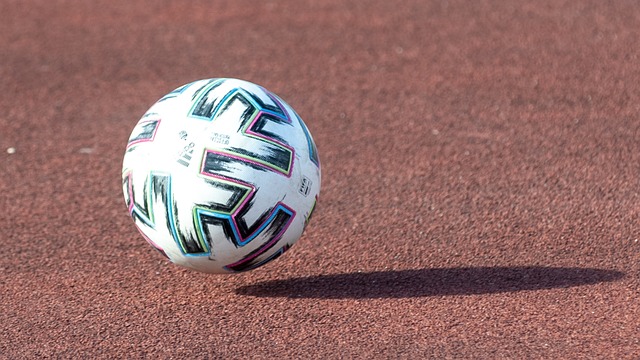 球爱好者的 球爱好者的