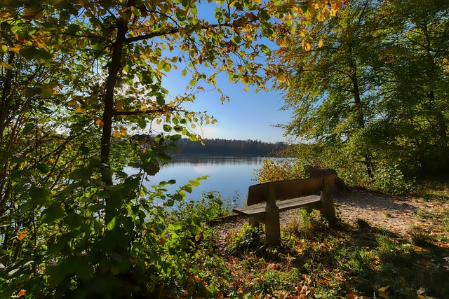 断失利让他 断失利让他