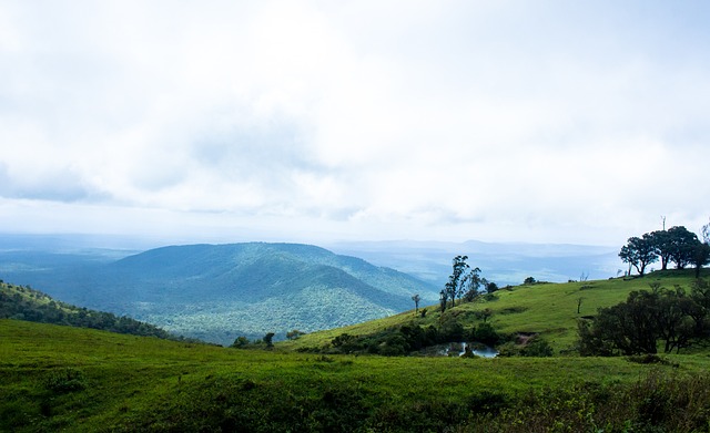 反击制造威 反击制造威
