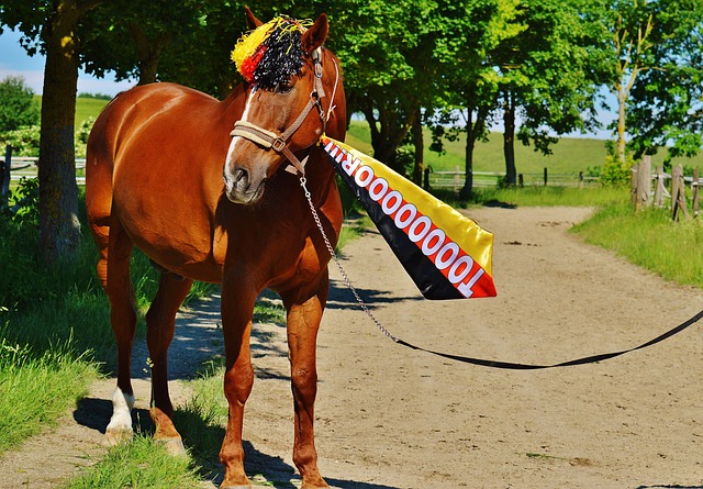 所有人都是 所有人都是