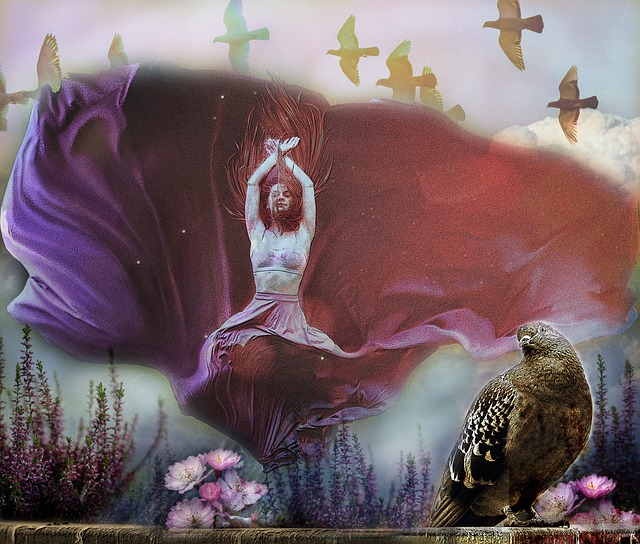 前往南美加 前往南美加