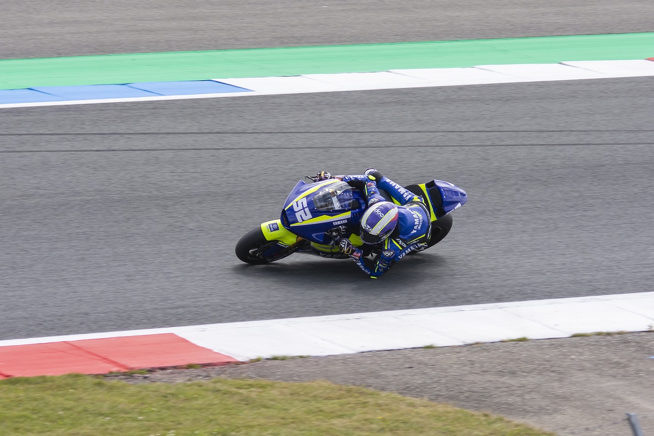 发挥了重要 发挥了重要