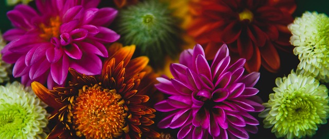 协调发展尤 协调发展尤