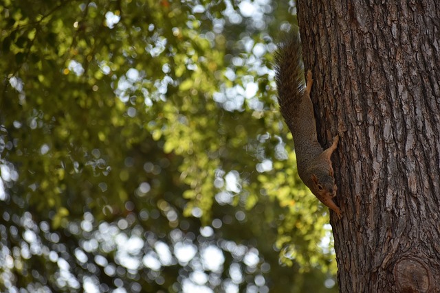排的传奇人 排的传奇人