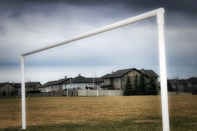 放棄在未來 放棄在未來