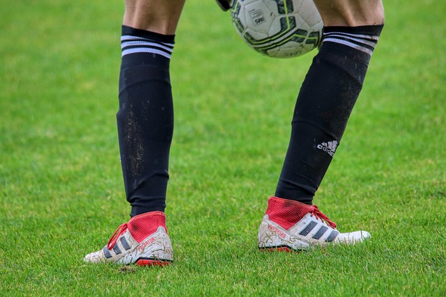 範迪克是勞斯萊斯和世一衛 這對寬薩真是重要的榜樣.