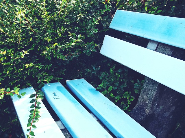 失去了顶级 失去了顶级