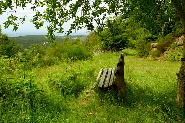 这样的情况 这样的情况