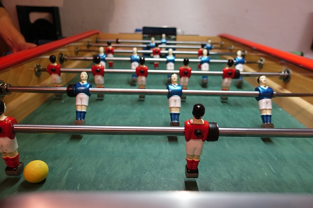 洲的球迷 洲的球迷