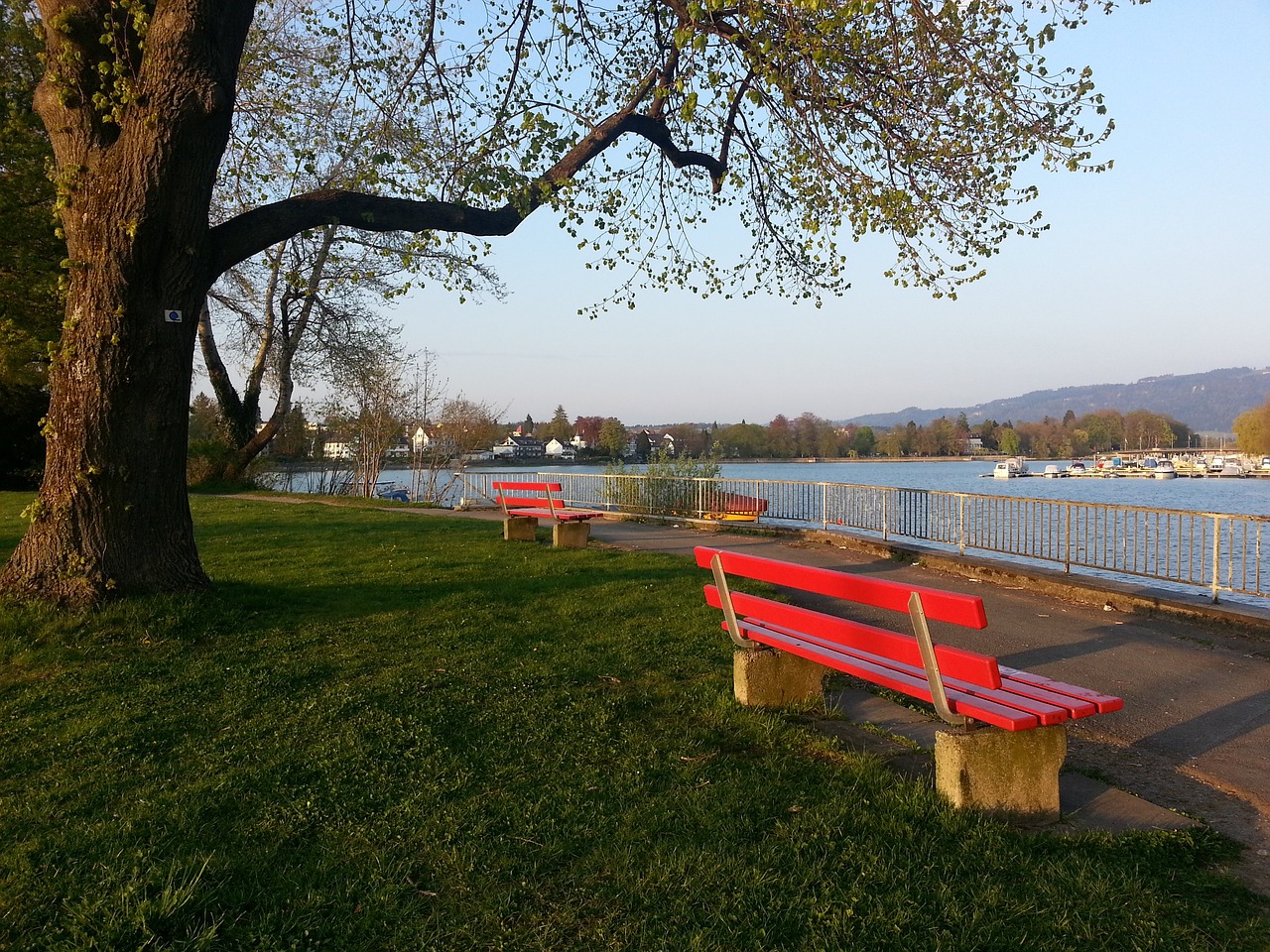 他不仅承认 他不仅承认