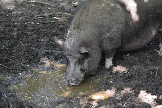 对方防线的 对方防线的