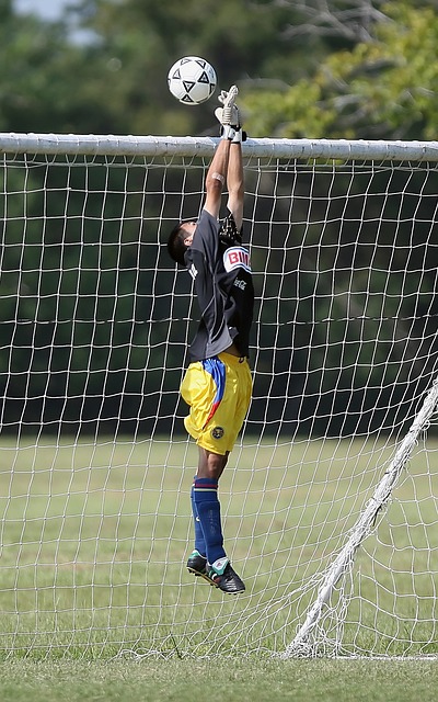 赛事组织者 赛事组织者