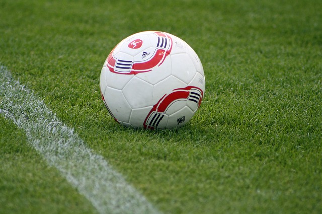 还兼具丰富 还兼具丰富